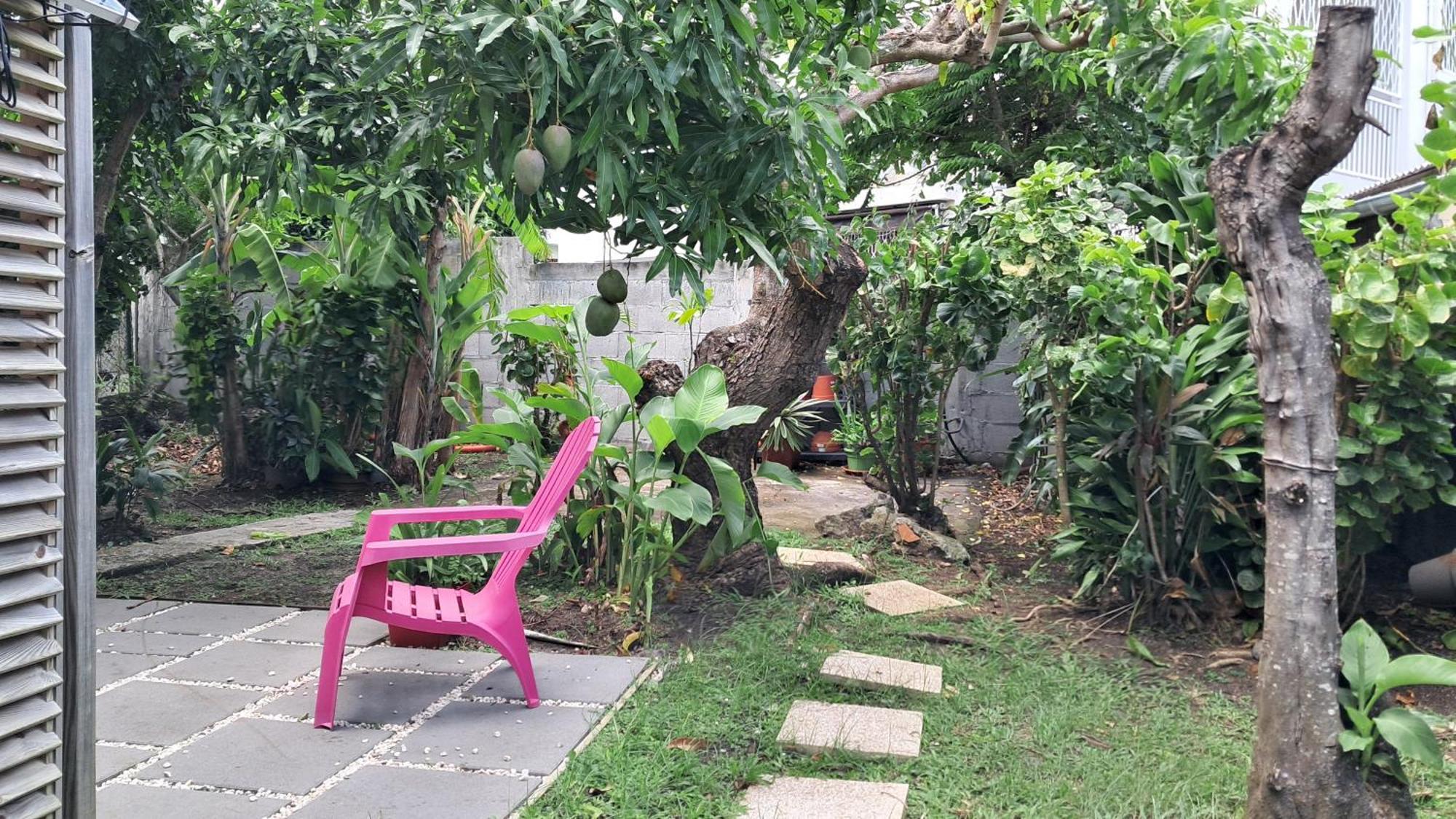 포르드프랑스 Agreable F2, Jardin, Garage, Fibre, Clim Ch 아파트 외부 사진